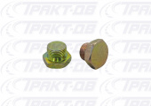 Заглушка резьбовая М20х1,5 20113, ЗГ-М20