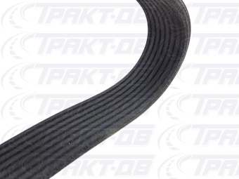 Ремень  CUMMINS 6ВТ  (SELERUS) 1725 8РК 3288475